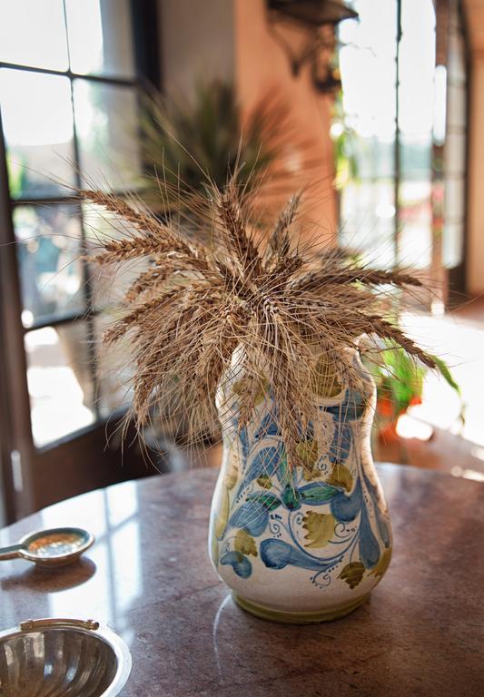 Willa Don Carlo Agriturismo Di Charme Bio Le Pioppe Zewnętrze zdjęcie