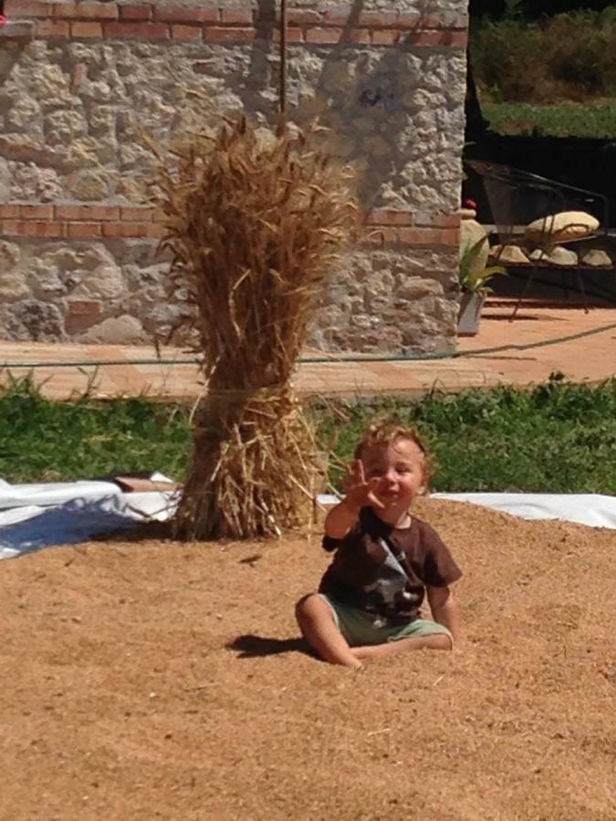 Willa Don Carlo Agriturismo Di Charme Bio Le Pioppe Zewnętrze zdjęcie