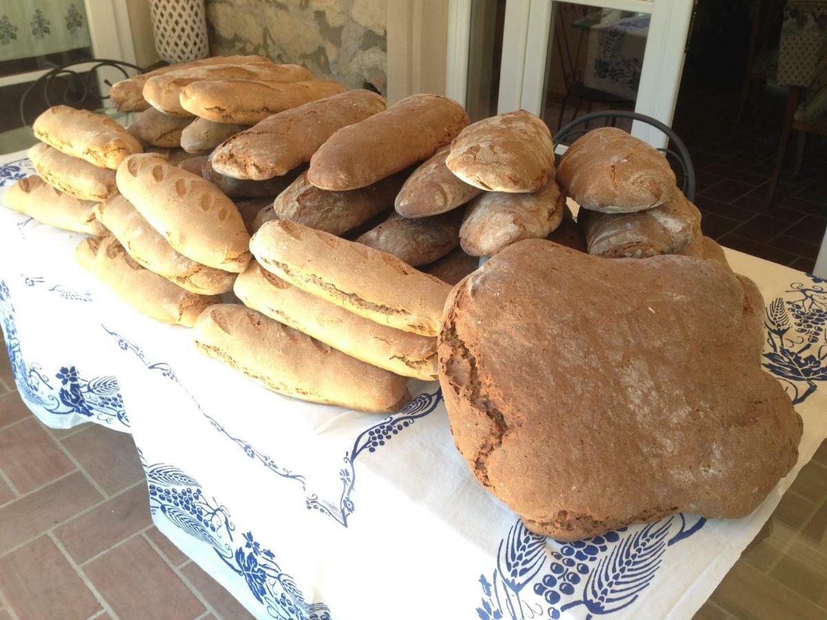 Willa Don Carlo Agriturismo Di Charme Bio Le Pioppe Zewnętrze zdjęcie