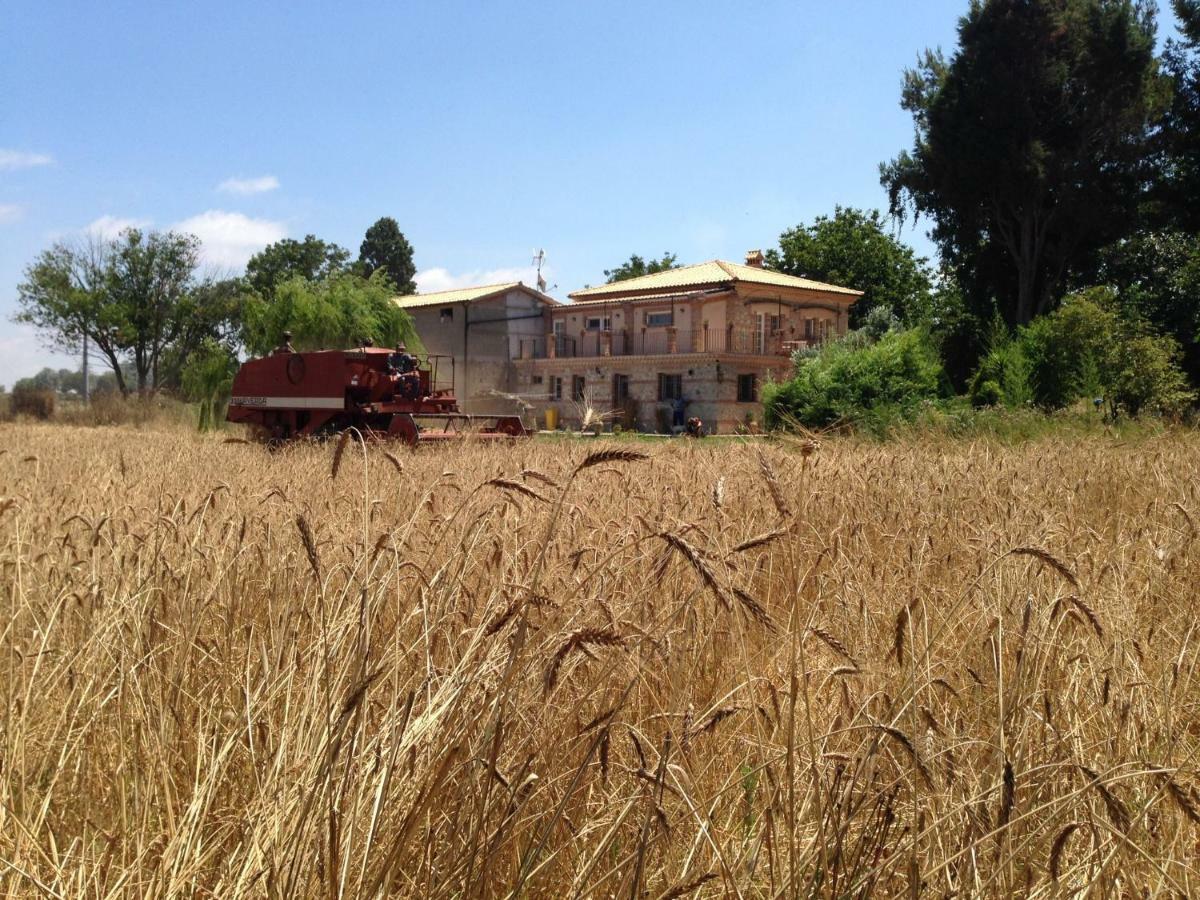 Willa Don Carlo Agriturismo Di Charme Bio Le Pioppe Zewnętrze zdjęcie